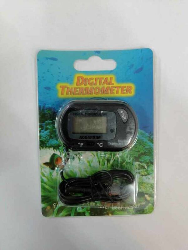 Digital Thermometer